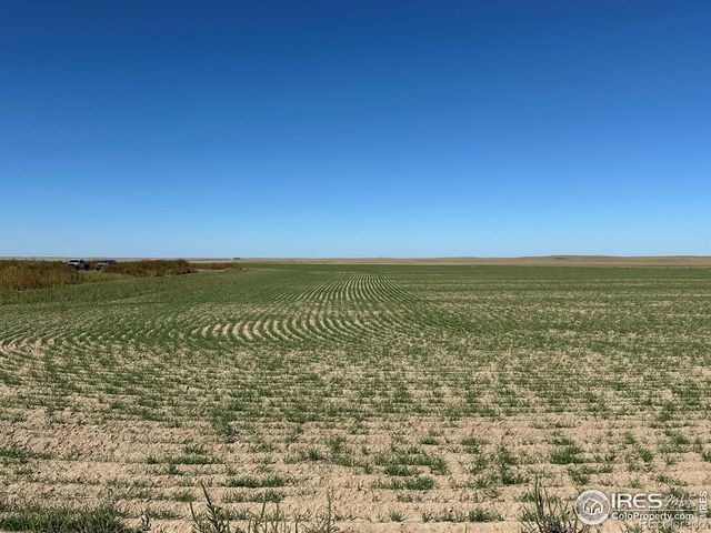 18807 County Road P Road, Kit Carson, CO 80825