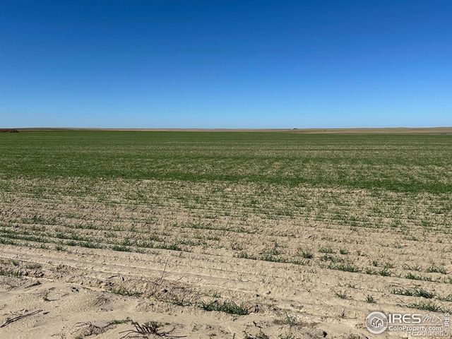 18807 County Road P Road, Kit Carson, CO 80825