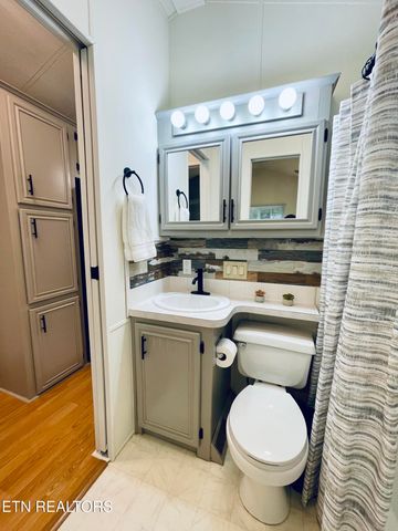 772 Big Valley Blvd, Townsend, TN 37882