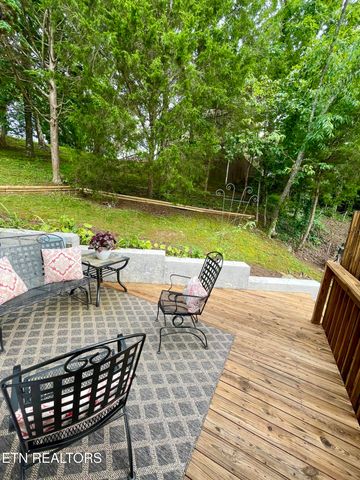 772 Big Valley Blvd, Townsend, TN 37882