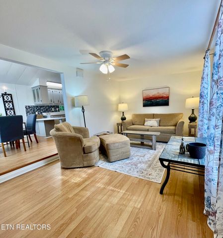 772 Big Valley Blvd, Townsend, TN 37882