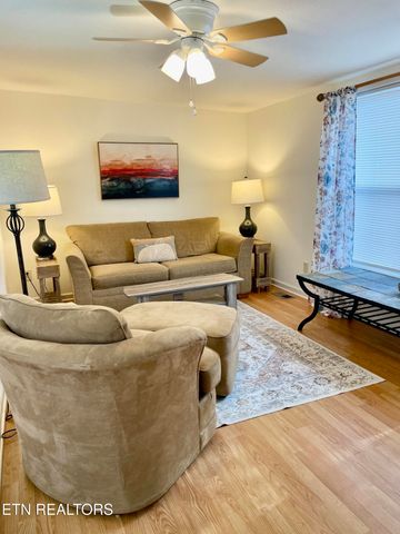 772 Big Valley Blvd, Townsend, TN 37882