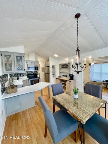 772 Big Valley Blvd, Townsend, TN 37882