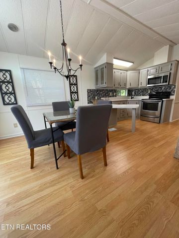 772 Big Valley Blvd, Townsend, TN 37882