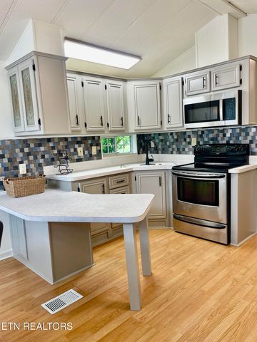 772 Big Valley Blvd, Townsend, TN 37882