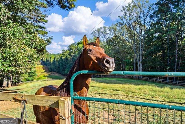 3204 Reavis Mountain Road, Ball Ground, GA 30107