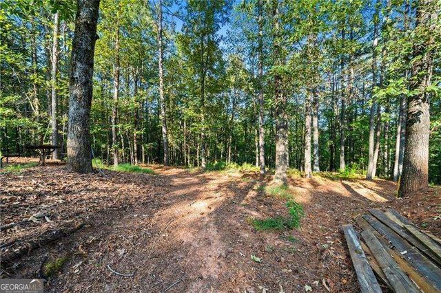 3204 Reavis Mountain Road, Ball Ground, GA 30107