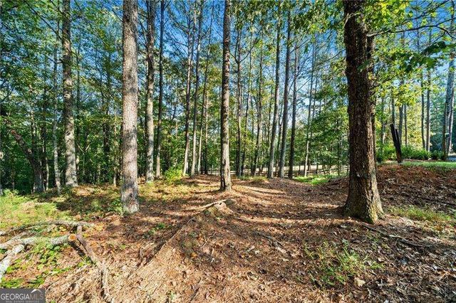 3204 Reavis Mountain Road, Ball Ground, GA 30107