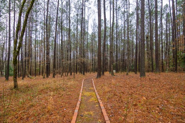 202 Winding Lake Drive, Hamilton, GA 31811