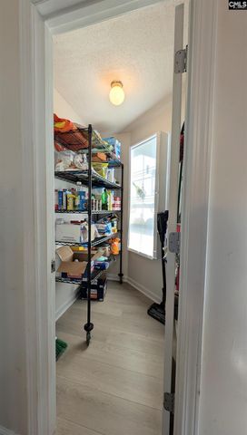 129 Bill Williamson Court, Lexington, SC 29073