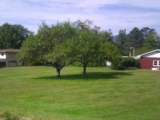 145 Langdell Road, Morristown, VT 05661
