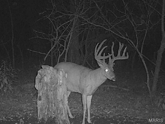 24939 Stormbreak Drive, Richland, MO 65556