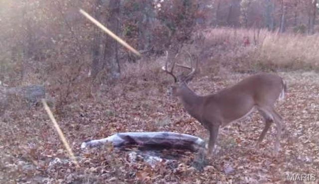 24939 Stormbreak Drive, Richland, MO 65556