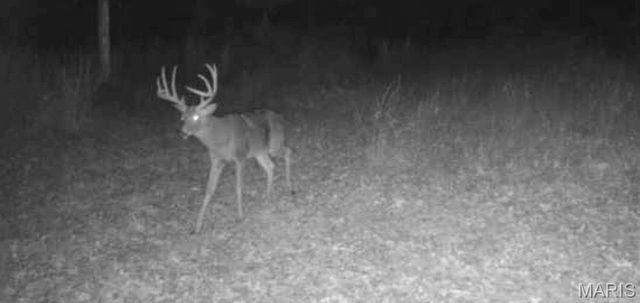 24939 Stormbreak Drive, Richland, MO 65556