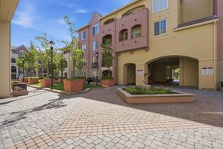 1550 Technology Drive 3080, San Jose, CA 95110