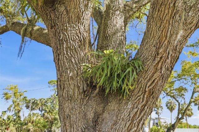 906 TROPICAL DRIVE, Bradenton, FL 34208