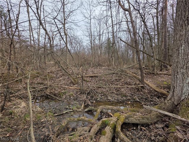 8566 Chatham Road, Medina, OH 44256