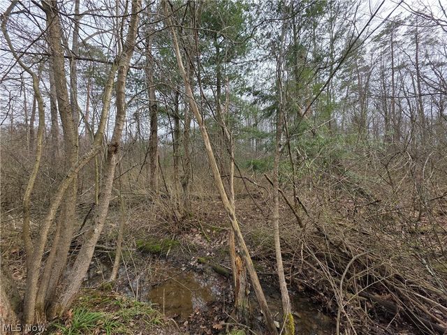 8566 Chatham Road, Medina, OH 44256