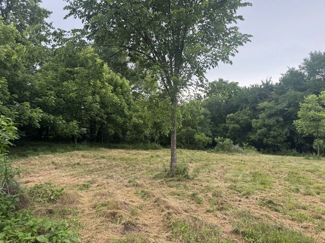 0 Hickerson Rd, Wartrace, TN 37183