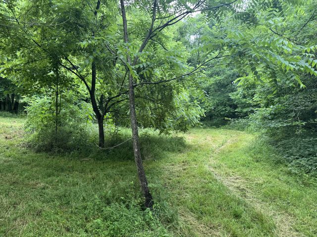 0 Hickerson Rd, Wartrace, TN 37183