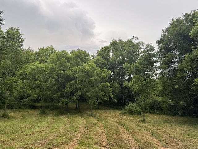 0 Hickerson Rd, Wartrace, TN 37183