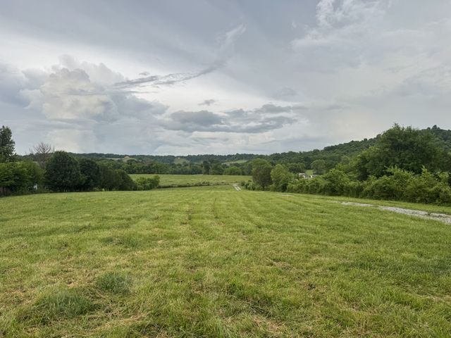 0 Hickerson Rd, Wartrace, TN 37183