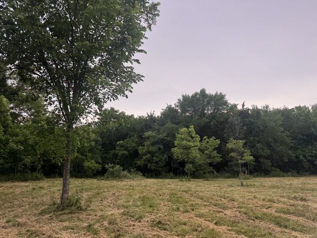 0 Hickerson Rd, Wartrace, TN 37183