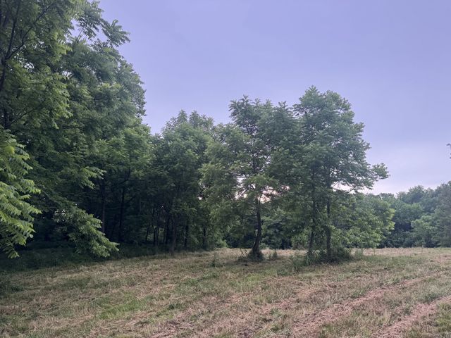 0 Hickerson Rd, Wartrace, TN 37183