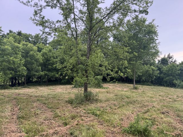 0 Hickerson Rd, Wartrace, TN 37183