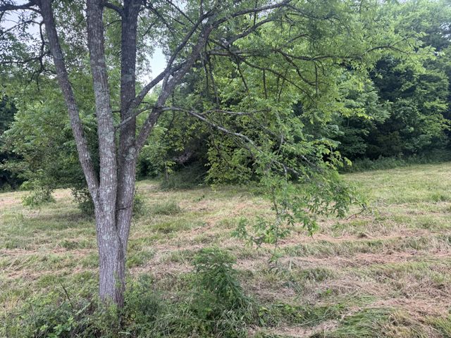 0 Hickerson Rd, Wartrace, TN 37183