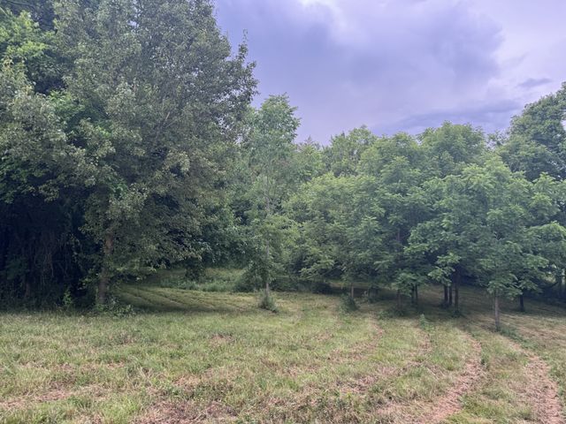 0 Hickerson Rd, Wartrace, TN 37183