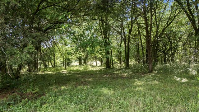 0 Hickerson Rd, Wartrace, TN 37183