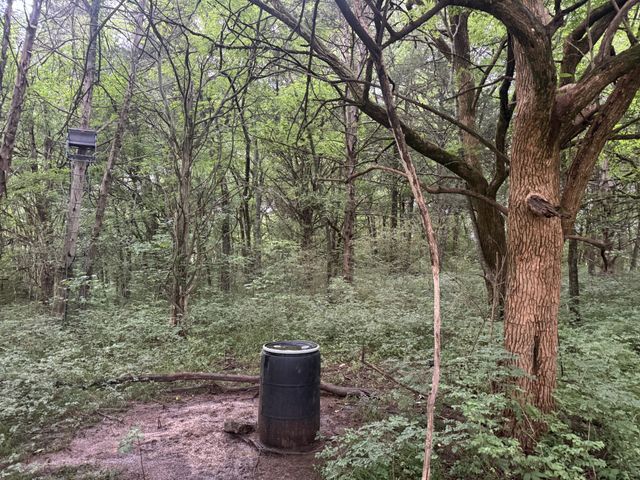 0 Hickerson Rd, Wartrace, TN 37183