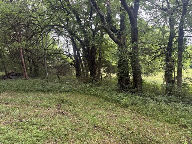0 Hickerson Rd, Wartrace, TN 37183