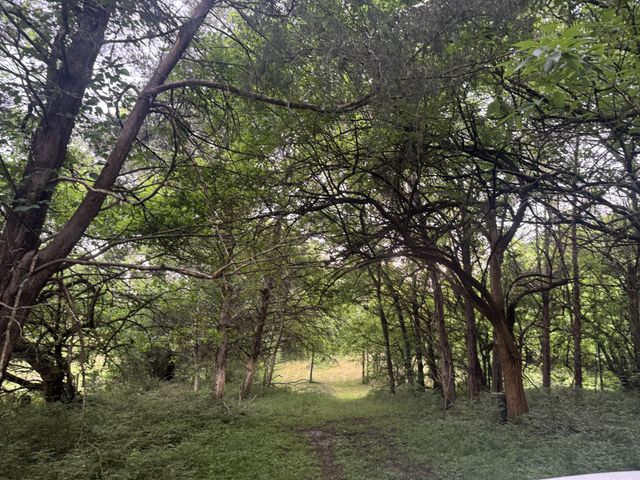 0 Hickerson Rd, Wartrace, TN 37183