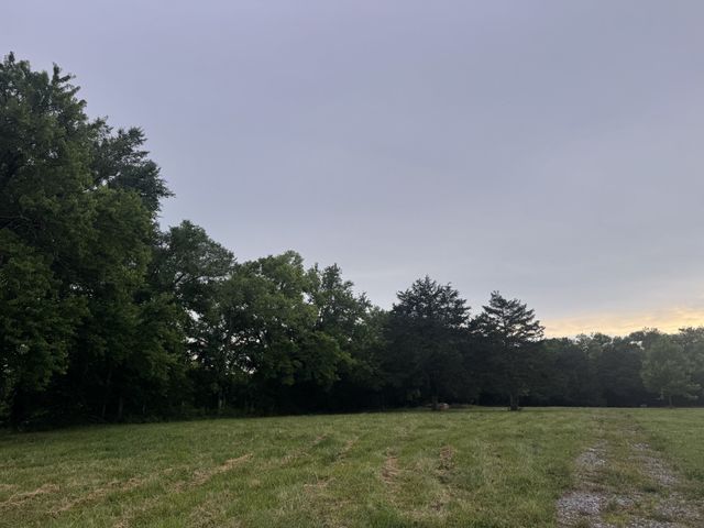 0 Hickerson Rd, Wartrace, TN 37183