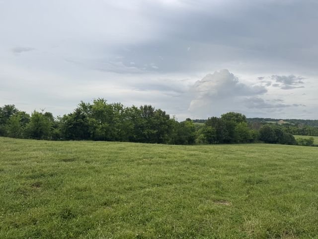 0 Hickerson Rd, Wartrace, TN 37183