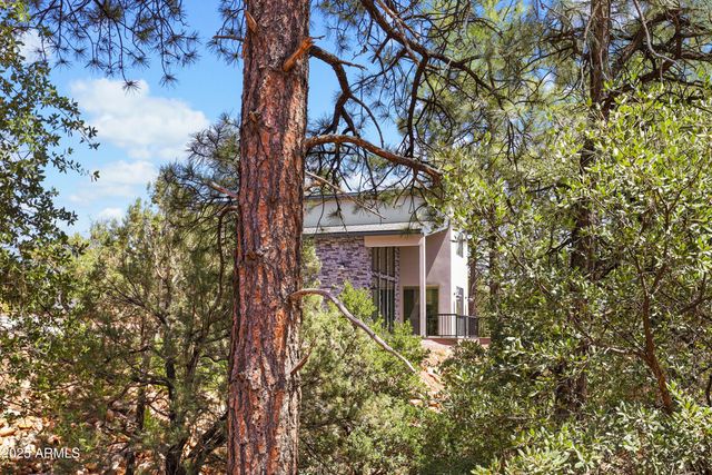 6541 W Ruin Hill Loop, Pine, AZ 85544