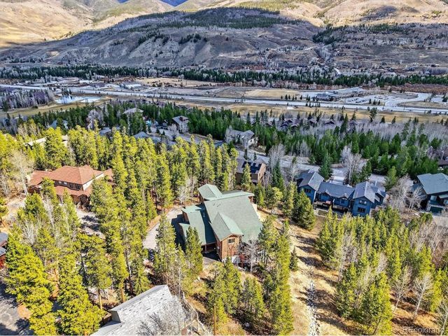 324 Black Hawk Cir, Silverthorne, CO 80498