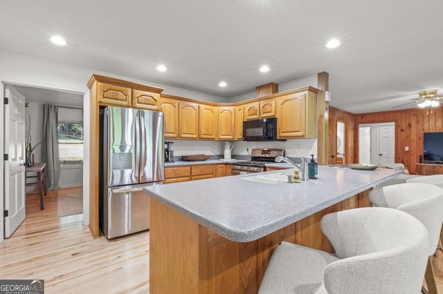 230 Mountain Lake Circle, Blue Ridge, GA 30513