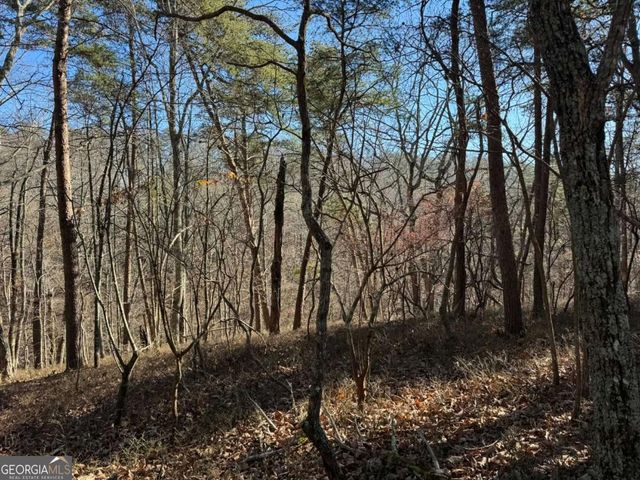 1493 Derby Court NE, Ranger, GA 30734