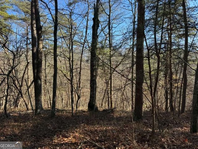 1493 Derby Court NE, Ranger, GA 30734