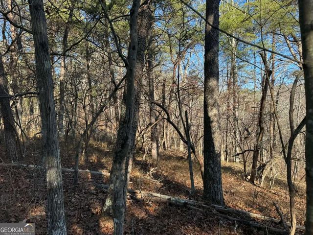 1493 Derby Court NE, Ranger, GA 30734