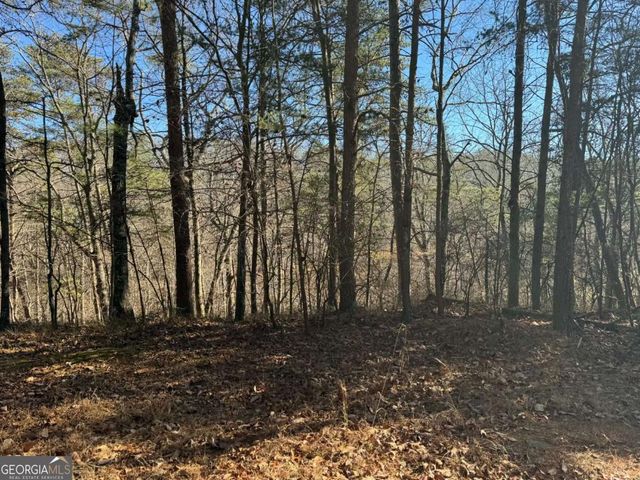 1493 Derby Court NE, Ranger, GA 30734