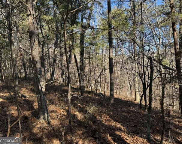 1493 Derby Court NE, Ranger, GA 30734