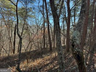 1493 Derby Court NE, Ranger, GA 30734