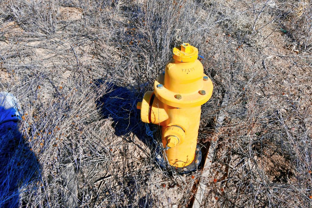 Image 15 of property listing at 1208 Cuba Road, Socorro, NM 87801