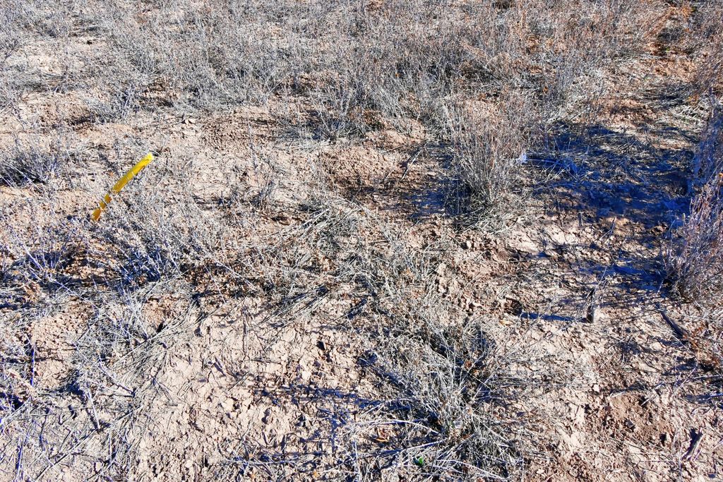 Image 18 of property listing at 1208 Cuba Road, Socorro, NM 87801