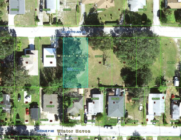 PALMETTO AVENUE NE, Winter Haven, FL 33881