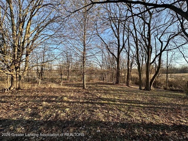 8733 S Cochran Road, Olivet, MI 49076